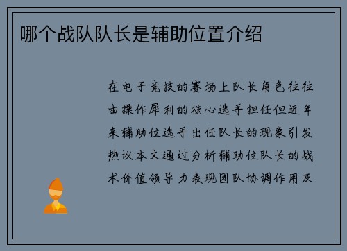哪个战队队长是辅助位置介绍